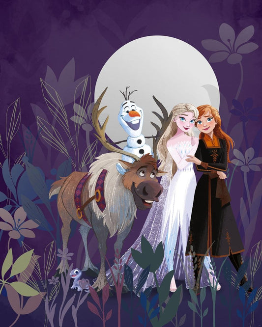 FOTOMURALE   IN TNT FROZEN