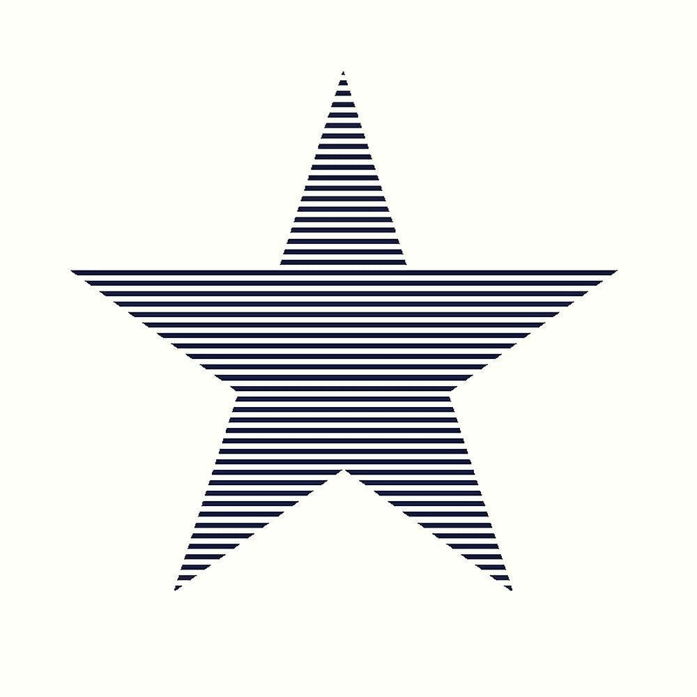 CARTA DA PARATI IN TNT / STAR BLUE