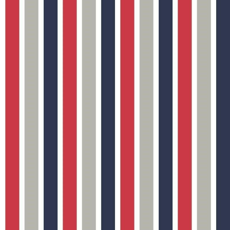 CARTA PARATO IN TNT /RIGHE MULTI