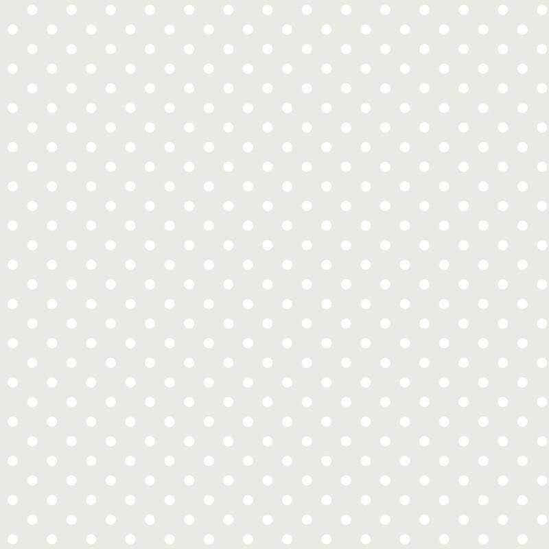 CARTA DA PARATI IN TNT /POIS GREY