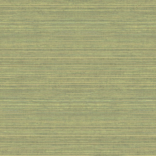 CARTA DA PARATI VINILE/SU TNT UNITO GREEN