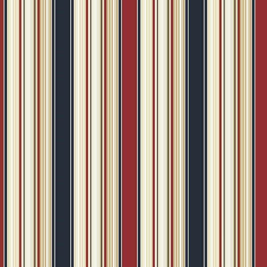 CARTA DA PARATI SU TNT RIGHE ROSSO BLU