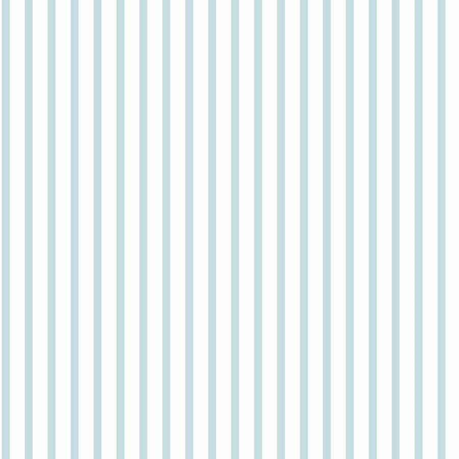 CARTA DA PARATI IN PVC/TNT RIGHE BIANCO AZZURRO