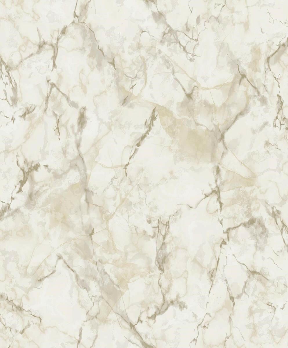 CARTA DA PARATI VINILE/SU TNT DESIGN TAUPE