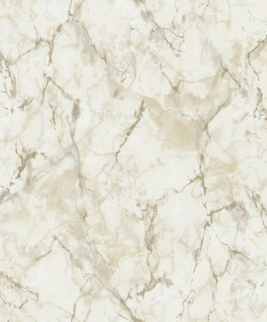 CARTA DA PARATI VINILE/SU TNT DESIGN TAUPE