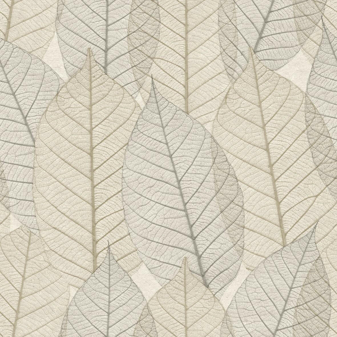 CARTA DA PARATI ECODECO/FOLIAGE TAUPE