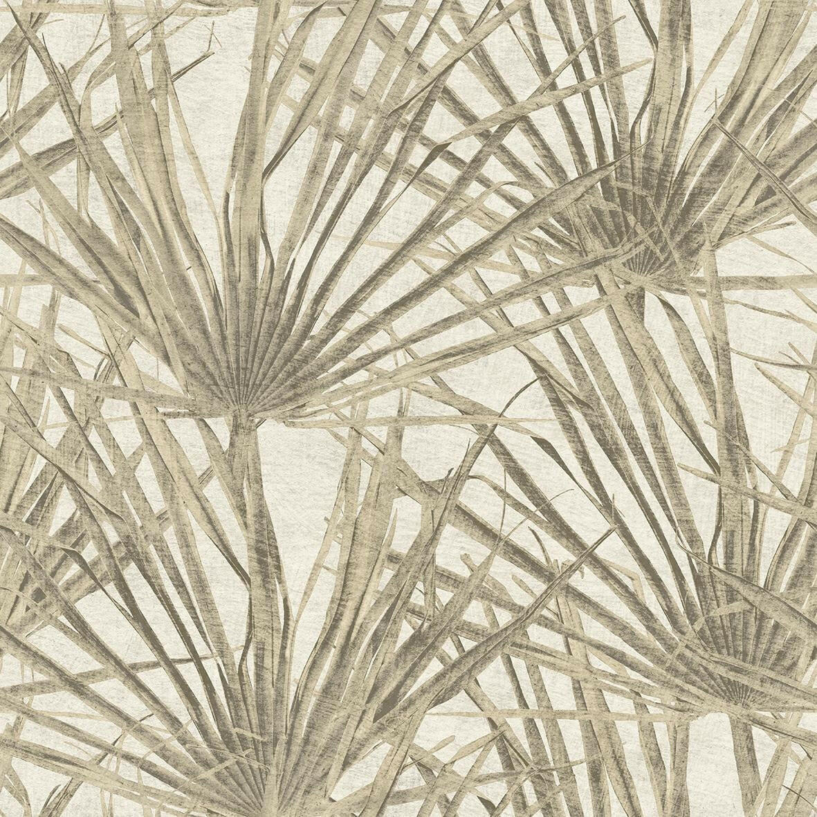 CARTA DA PARATI ECODECO/FOLIAGE TAUPE
