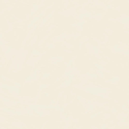 CARTA DA PARATI PVC/TNT /UNITO WHITE