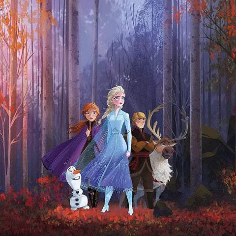 FOTOMURALE IN TNT FROZEN