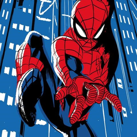 FOTOMURALE IN TNT SPIDERMAN