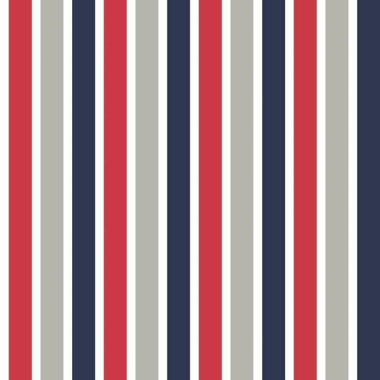 CARTA PARATO IN TNT /RIGHE MULTI