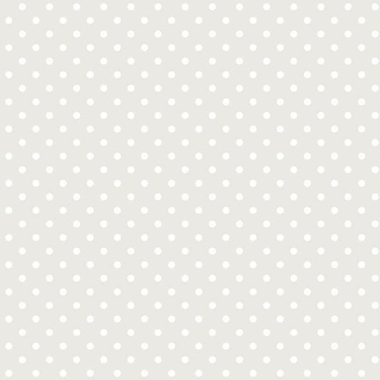 CARTA DA PARATI IN TNT /POIS GREY