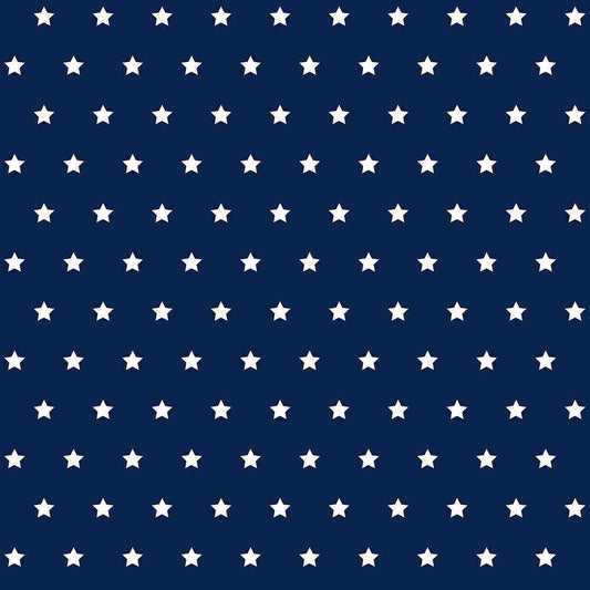 PARATO JOY IN TNT /MINISTAR