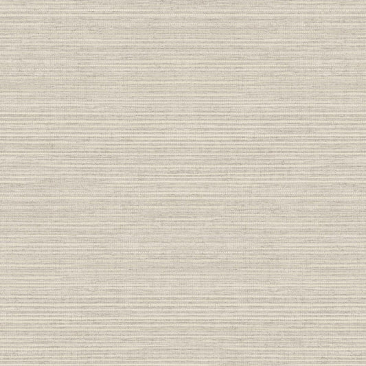 CARTA DA PARATI  VINILE/SU TNT UNITO TAUPE