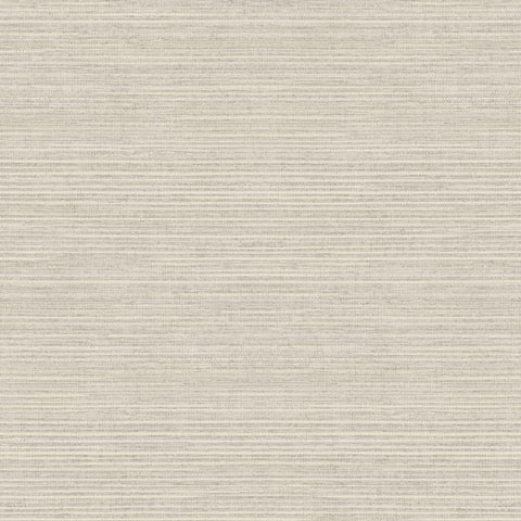 CARTA DA PARATI  VINILE/SU TNT UNITO TAUPE