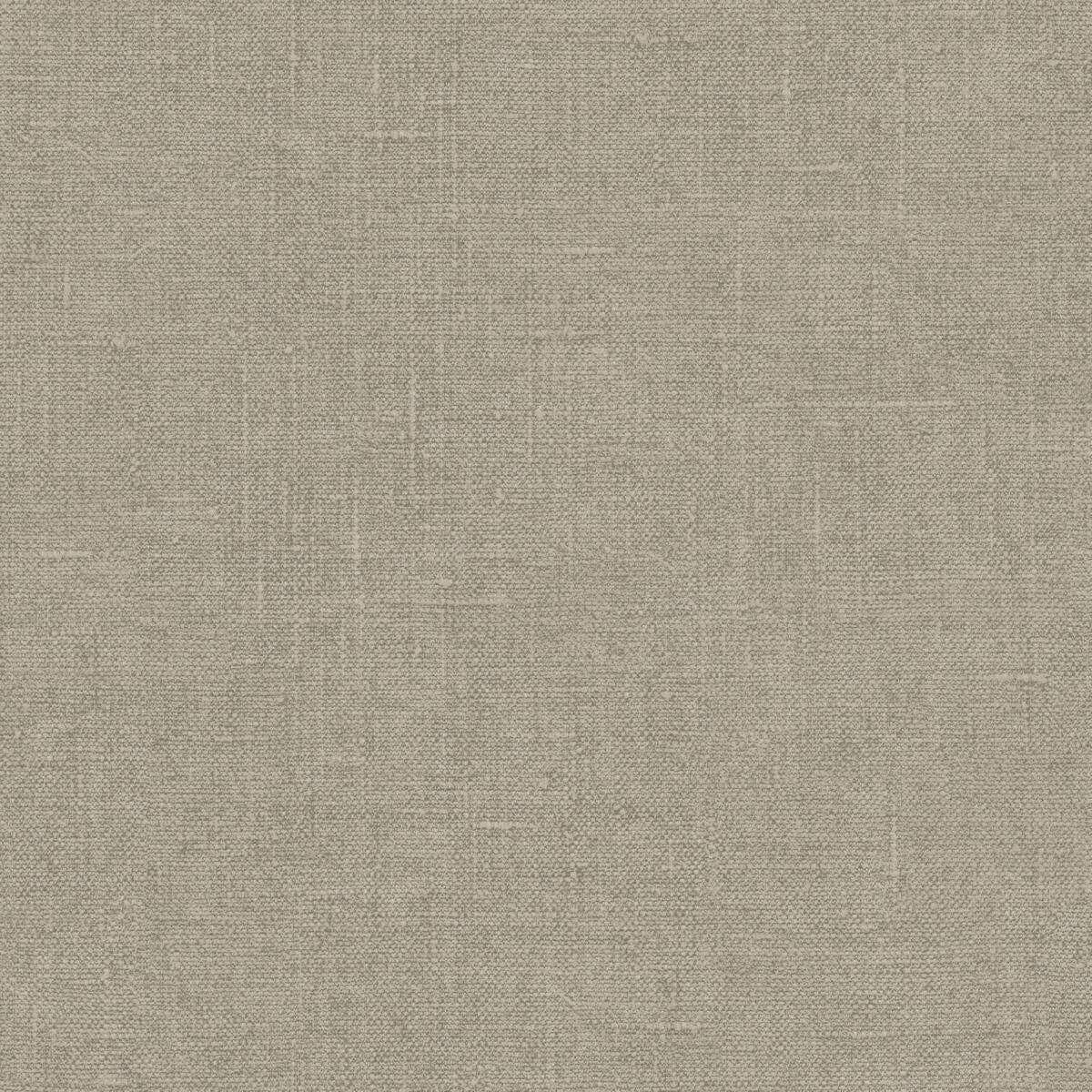 CARTA DA PARATI VINILE/SU TNT UNITO FANGO