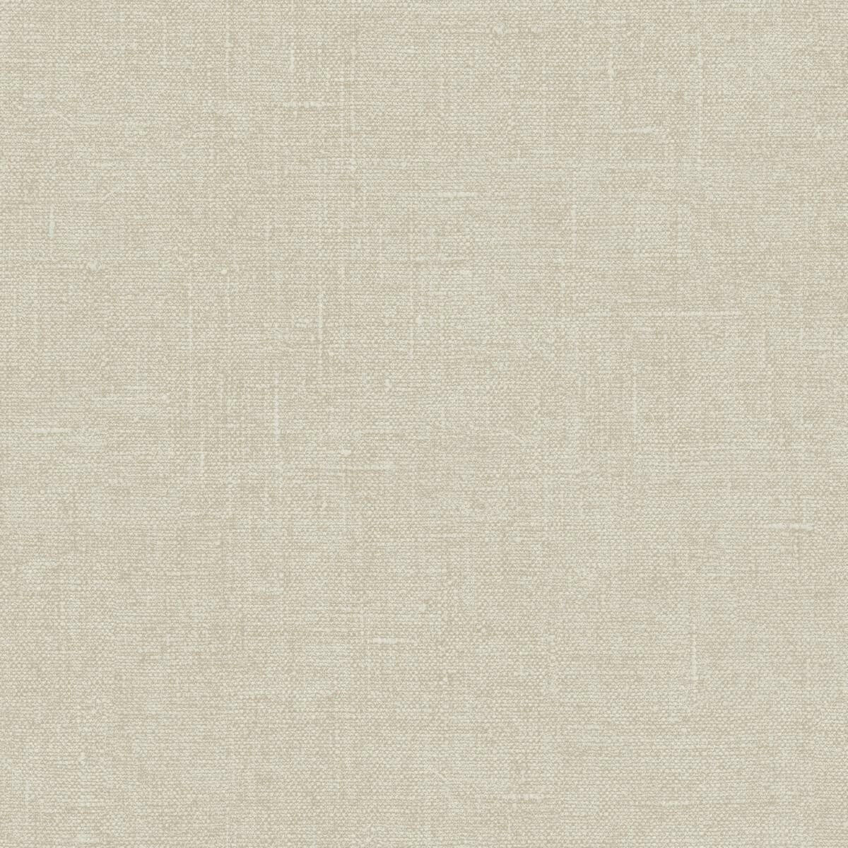 CARTA DA PARATI  VINIL E/SU TNT UNITO TAUPE