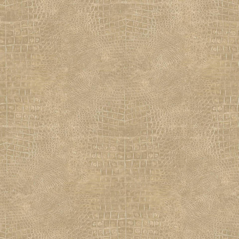 CARTA DA PARATI VINILE/SU TNT DESIGN UNITO B