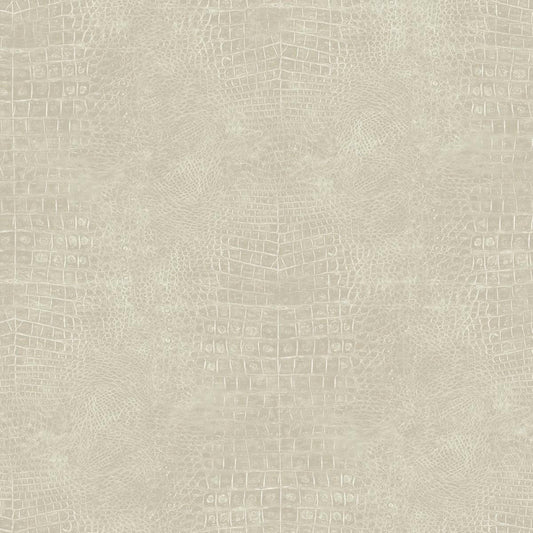 CARTA DA PARATi VINILE/SU TNT DESIGN UNITO B.