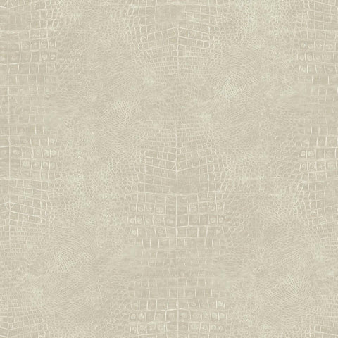 CARTA DA PARATi VINILE/SU TNT DESIGN UNITO B.