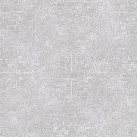 CARTA DA PARATI VINILE/SU TNT DESIGN UNITO W