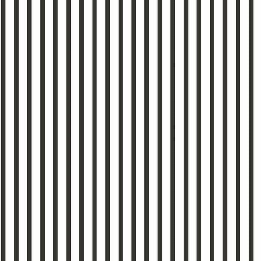 CARTA DA PARATI IN PVC/TNT RIGHE BLACK