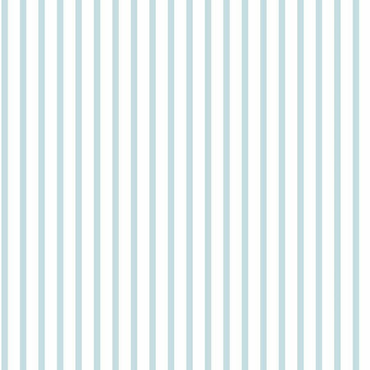 CARTA DA PARATI IN PVC/TNT RIGHE BIANCO AZZURRO
