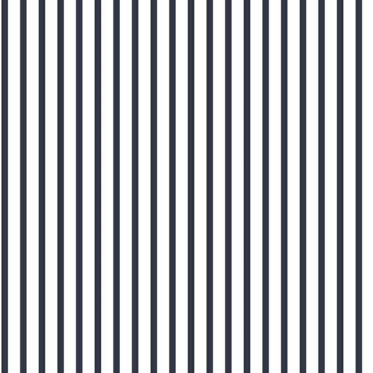 CARTA DA PARATI IN PVC/TNT RIGHE BLUE