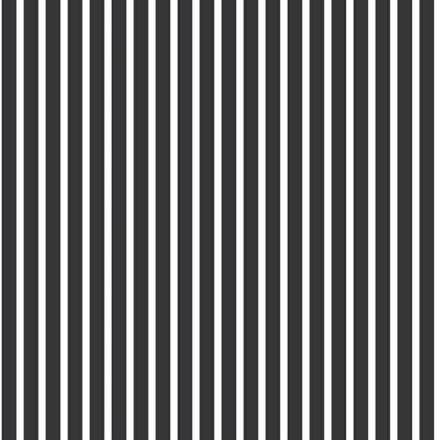 CARTA DA PARATI IN PVC/TNT RIGHE BIANCO NERO