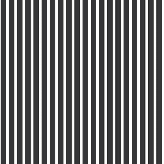 CARTA DA PARATI IN PVC/TNT RIGHE BIANCO NERO