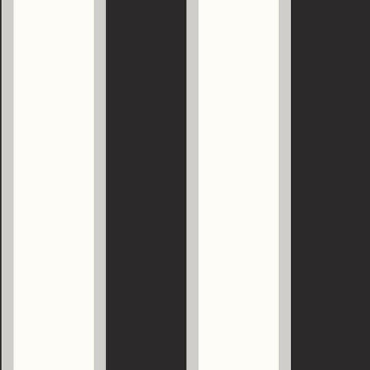 CARTA DA PARATI IN PVC/TNT RIGHE BLACK