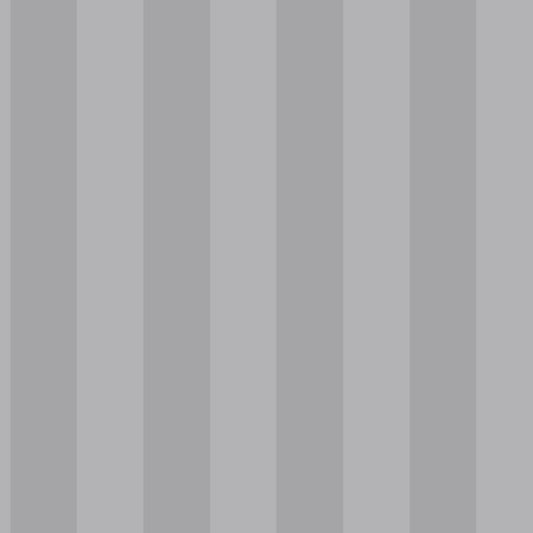 CARTA DA PARATI IN PVC/TNT RIGHE RIGHE  S.GREY