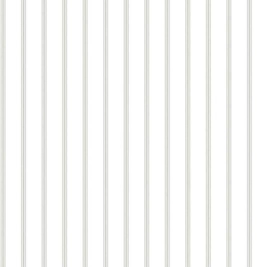 CARTA DA PARATI IN PVC/TNT RIGHE GREY