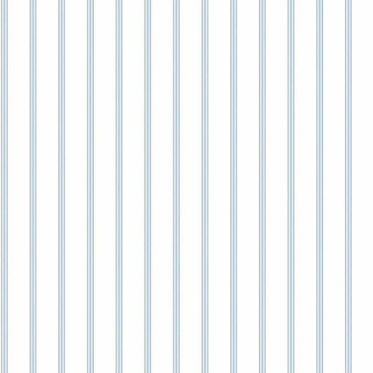 CARTA DA PARATI IN PVC/TNT RIGHE BLUE