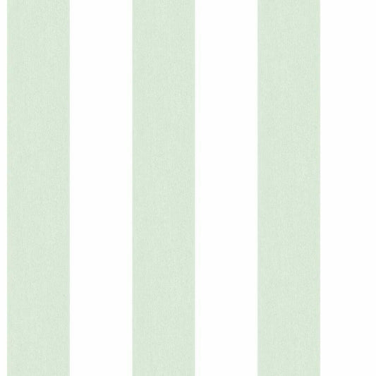 CARTA DA PARATI IN PVC/TNT RIGHE RIGHE  GREEN