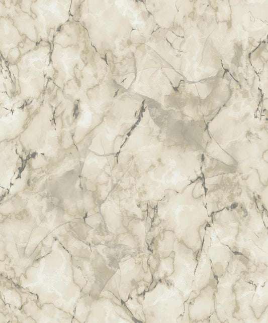 CARTA DA PARATI VINILE/SU TNT DESIGN TAUPE