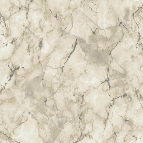 CARTA DA PARATI VINILE/SU TNT DESIGN TAUPE