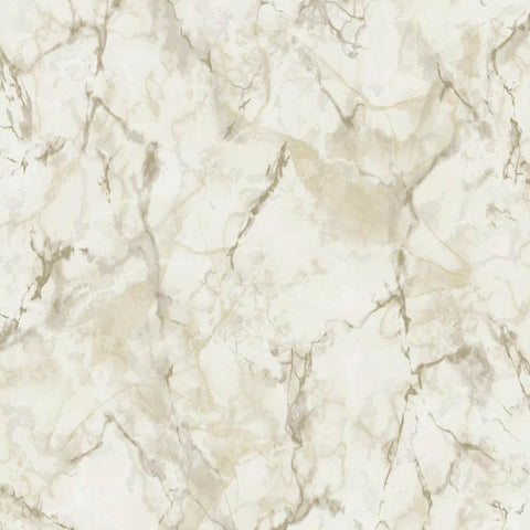 CARTA DA PARATI VINILE/SU TNT DESIGN TAUPE