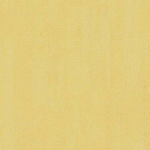 CARTA DA PARATI  VINILE/SU TNT UNITO PAGLIA