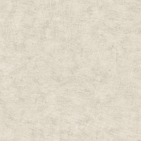 CARTA DA PARATI  ECODECO/UNITO LIGHT GREY