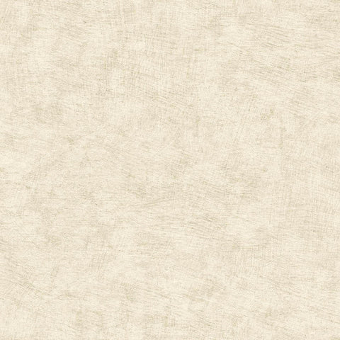 CARTA DA PARATI  ECODECO/UNITO BEIGE