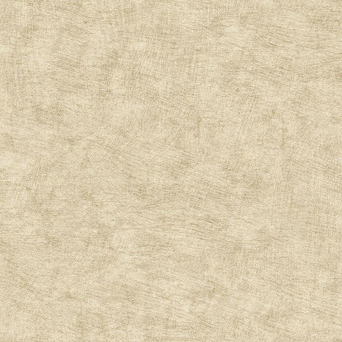 CARTA DA PARATI  ECODECO/UNITO BEIGE