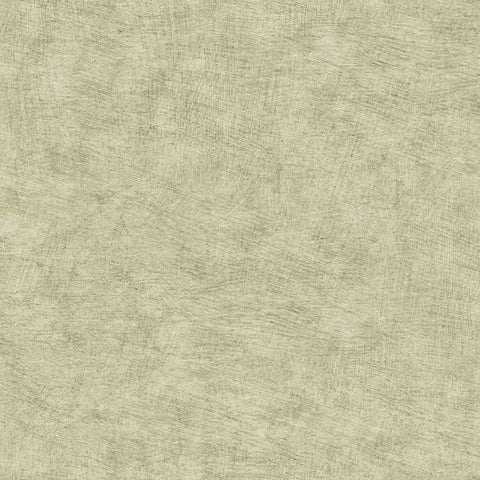 CARTA DA PARATI ECODECO/UNITO GREEN