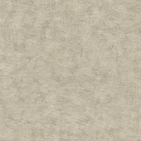 CARTA DA PARATI  ECODECO/UNITO TAUPE