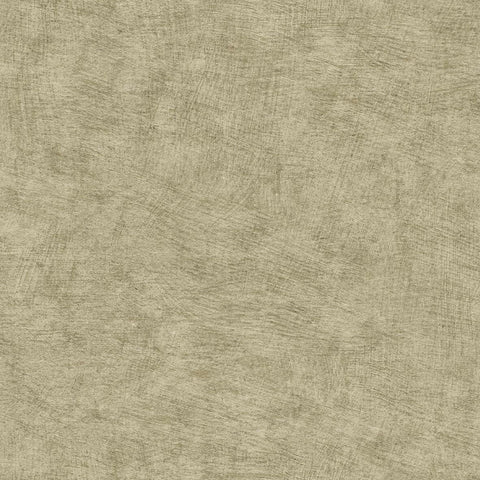 CARTA DA PARATI  ECODECO/UNITO GREEN OLIVE