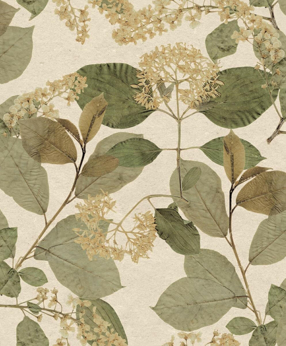 CARTA DA PARATI ECODECO/FOLIAGE GREEN/CREAM