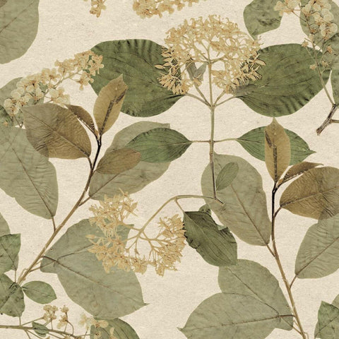CARTA DA PARATI ECODECO/FOLIAGE GREEN/CREAM