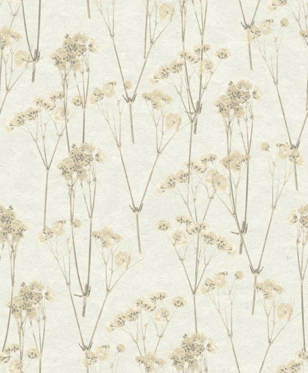 CARTA DA PARATI  ECODECO/FLOWERS CREAM/TAUPE