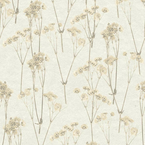 CARTA DA PARATI  ECODECO/FLOWERS CREAM/TAUPE