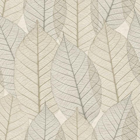 CARTA DA PARATI ECODECO/FOLIAGE TAUPE